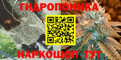 МДПВ Волжский