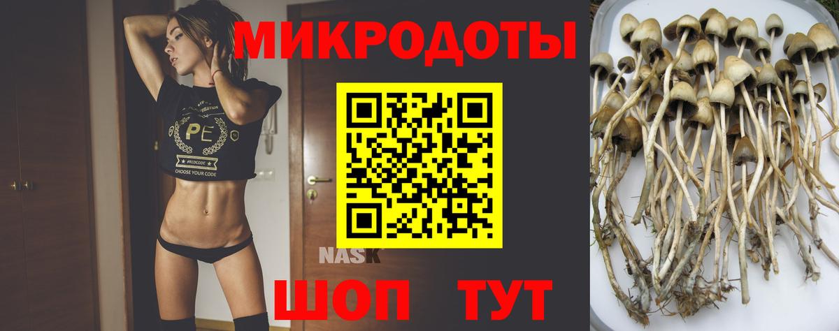 Псилоцибиновые грибы MAGIC MUSHROOMS Липецк